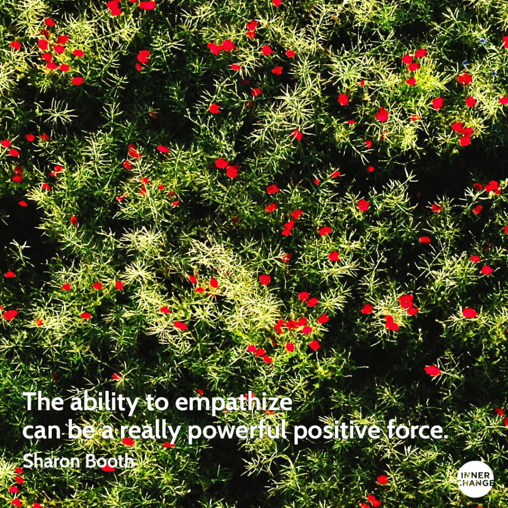 Quote from Sharon Booth The ability to empathize can be a really powerful positive force.