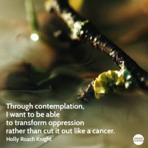 Quote from Holly Roach Knight Through contemplation, I want to be able to transform oppression rather than cut it out like a cancer.