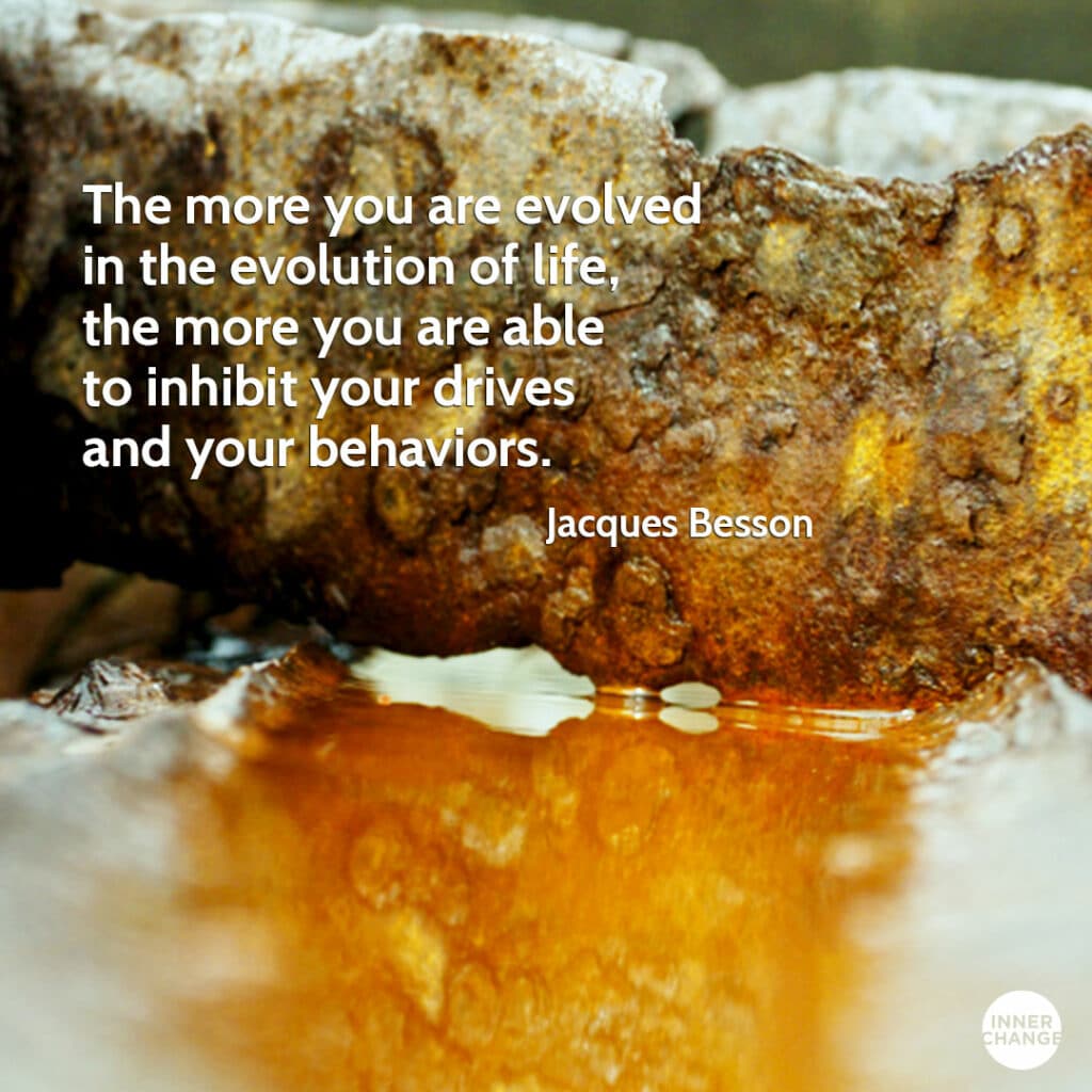 Quote from Jacques Besson The more you are evolved in the evolution of life, the more you are able to inhibit your drives and your behaviors.
