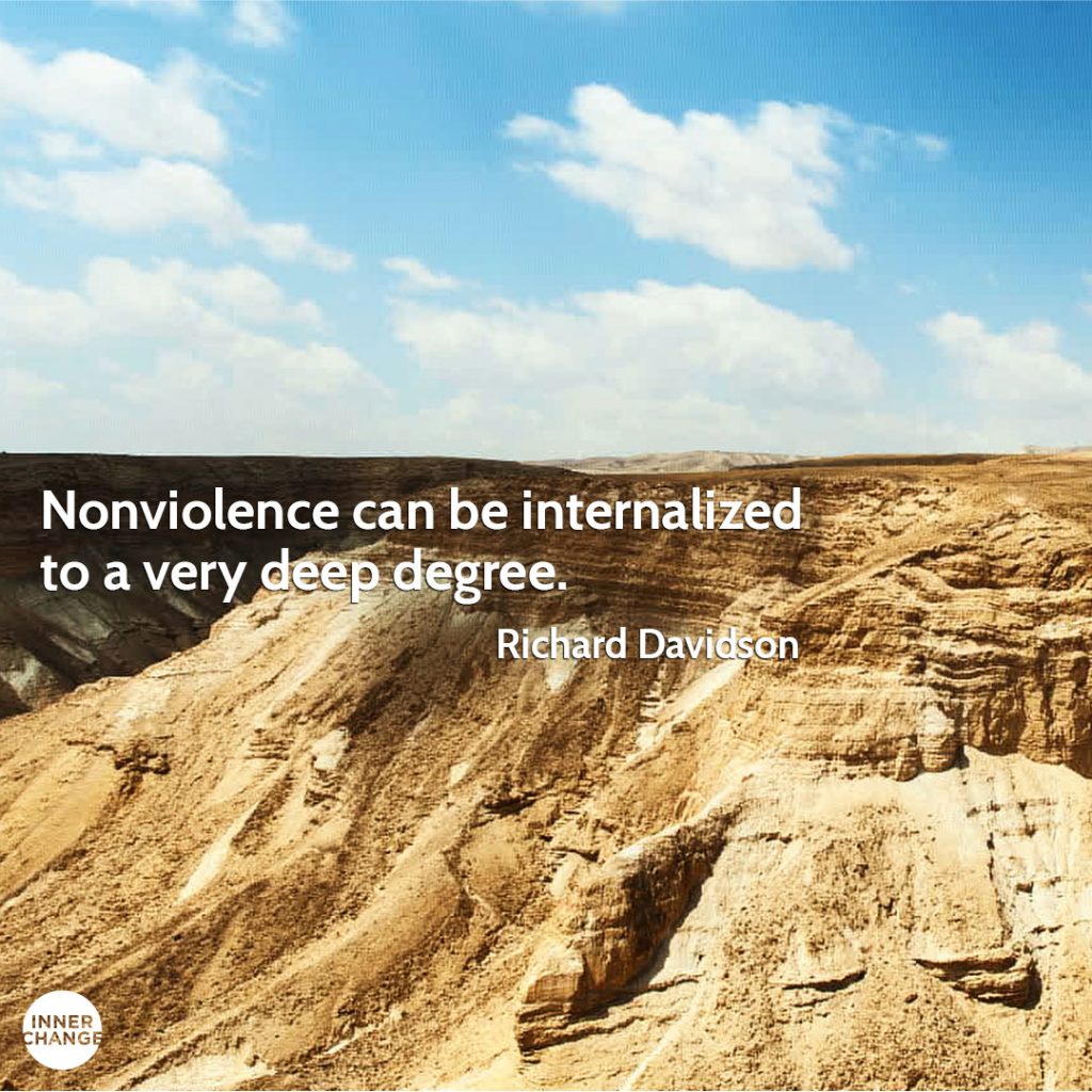 Quote from Richard Davidson Nonviolence can be internalized to a very deep degree.