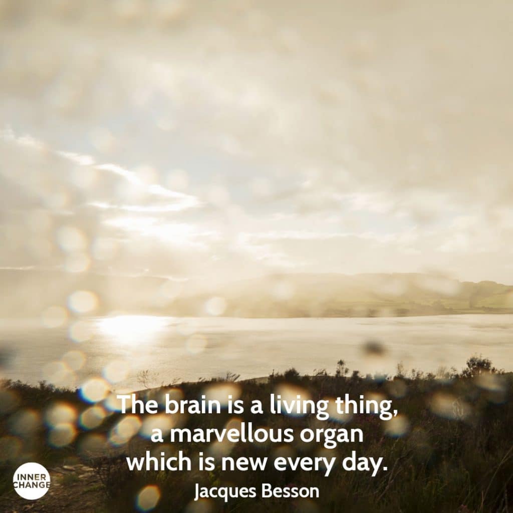 Quote from Jacques Besson The brain is a living thing, a marvellous organ which is new every day.